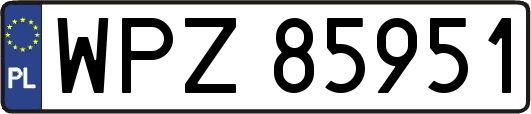 WPZ85951