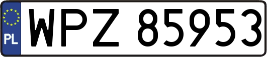 WPZ85953