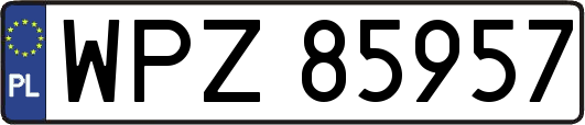 WPZ85957