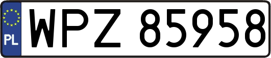 WPZ85958