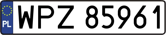 WPZ85961