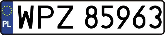 WPZ85963