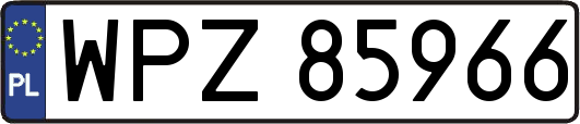 WPZ85966