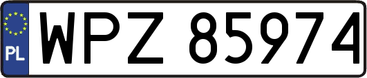 WPZ85974