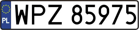 WPZ85975
