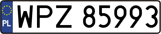 WPZ85993
