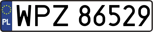 WPZ86529