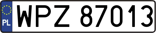 WPZ87013