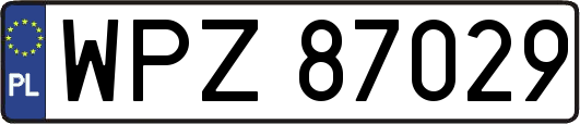 WPZ87029