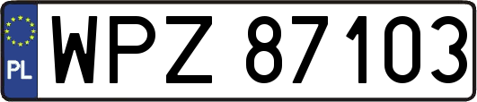 WPZ87103