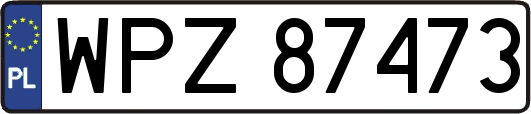 WPZ87473