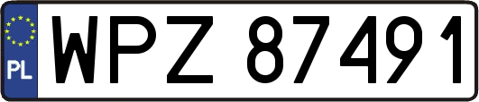 WPZ87491