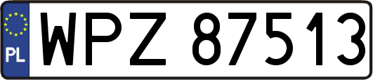 WPZ87513