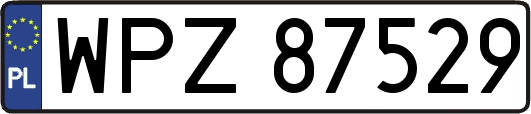 WPZ87529