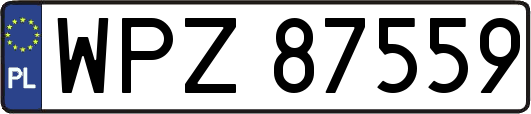 WPZ87559