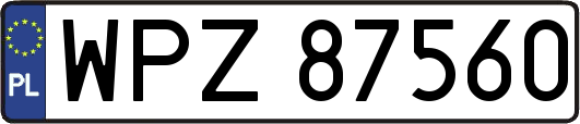 WPZ87560