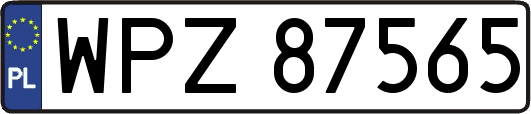 WPZ87565