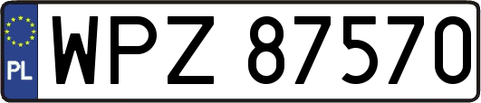 WPZ87570
