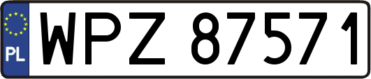 WPZ87571