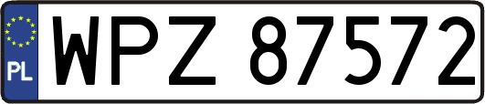 WPZ87572