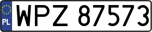 WPZ87573