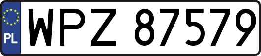 WPZ87579