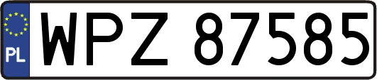 WPZ87585