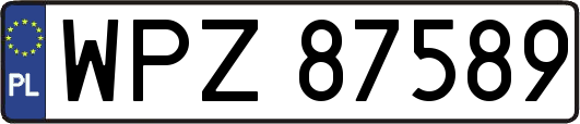 WPZ87589