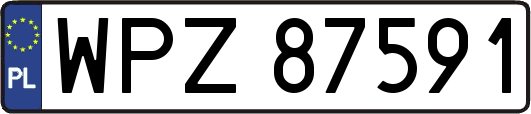 WPZ87591
