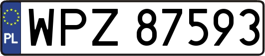 WPZ87593