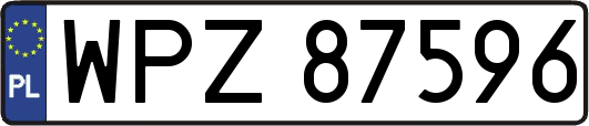 WPZ87596