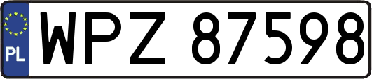 WPZ87598