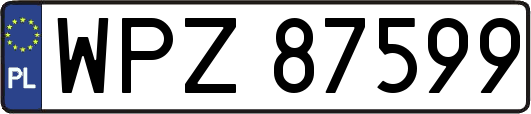WPZ87599