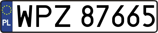 WPZ87665