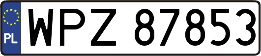 WPZ87853