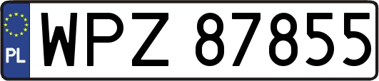 WPZ87855