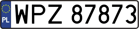 WPZ87873