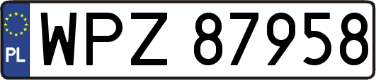 WPZ87958