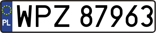 WPZ87963