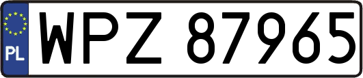 WPZ87965