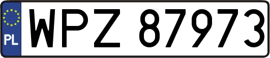 WPZ87973