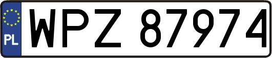 WPZ87974