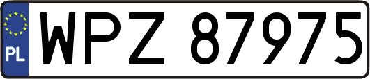 WPZ87975