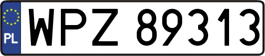 WPZ89313