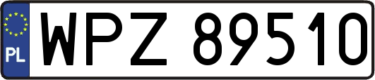 WPZ89510