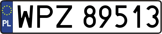 WPZ89513