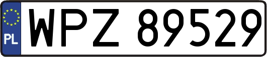 WPZ89529
