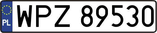 WPZ89530