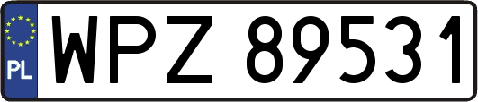 WPZ89531
