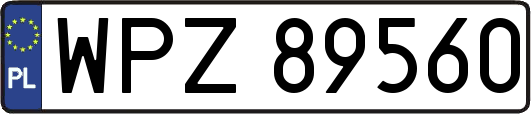 WPZ89560